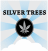 SILVER TREES